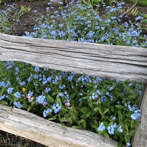 Meet your Posher, Siena